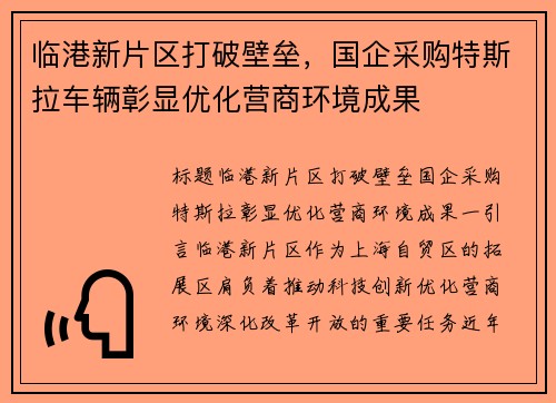 临港新片区打破壁垒，国企采购特斯拉车辆彰显优化营商环境成果